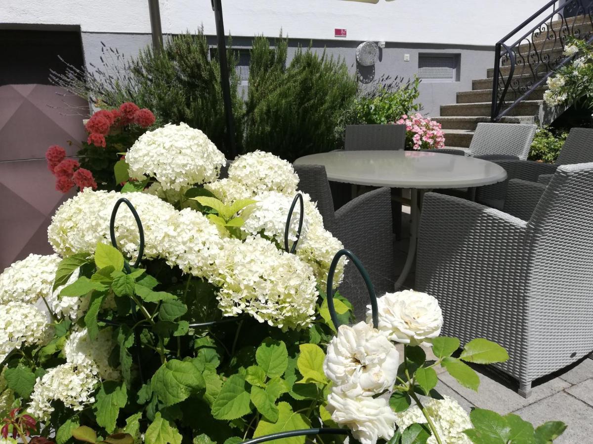 Winzerhof Michael Gartner Bed & Breakfast Илмиц Екстериор снимка